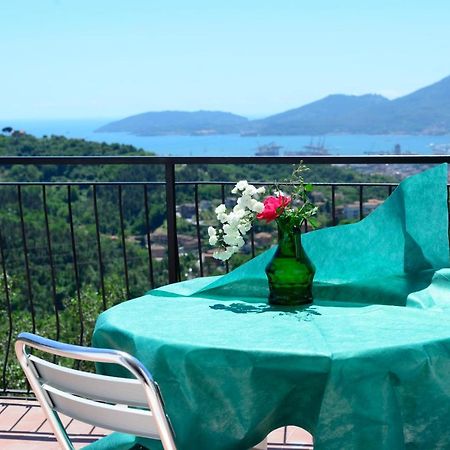 Agriturismo Oliva Azzurra Villa Valeriano Lunense Kültér fotó