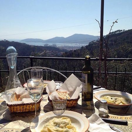 Agriturismo Oliva Azzurra Villa Valeriano Lunense Kültér fotó