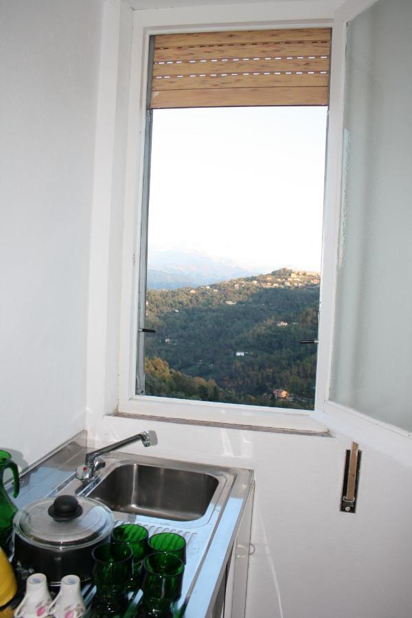 Agriturismo Oliva Azzurra Villa Valeriano Lunense Kültér fotó