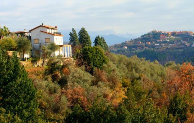 Agriturismo Oliva Azzurra Villa Valeriano Lunense Kültér fotó