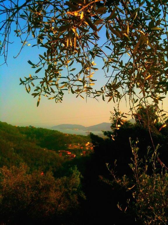 Agriturismo Oliva Azzurra Villa Valeriano Lunense Kültér fotó