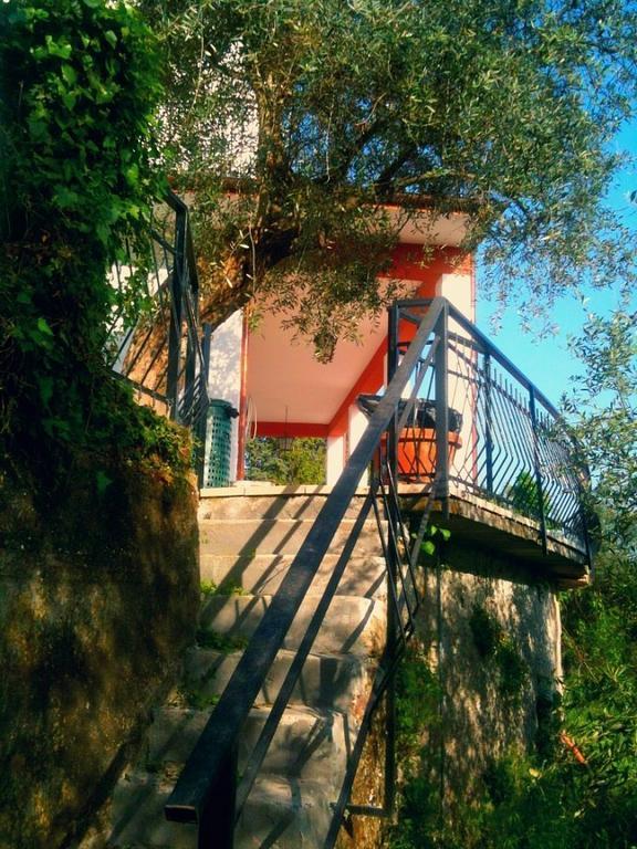 Agriturismo Oliva Azzurra Villa Valeriano Lunense Kültér fotó