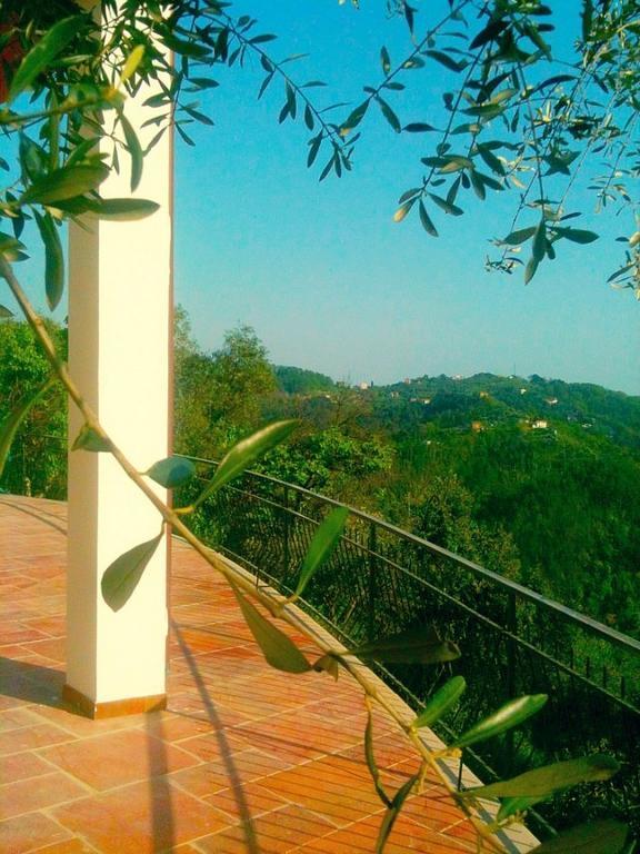 Agriturismo Oliva Azzurra Villa Valeriano Lunense Kültér fotó