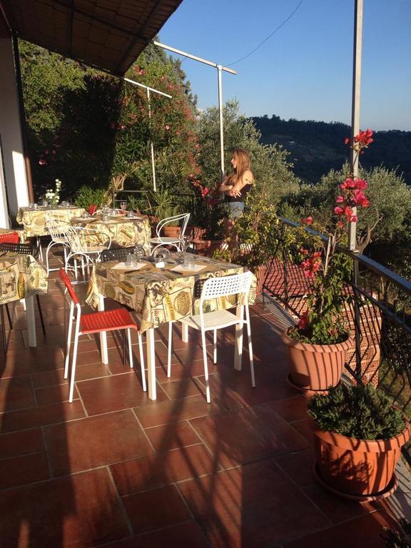 Agriturismo Oliva Azzurra Villa Valeriano Lunense Kültér fotó