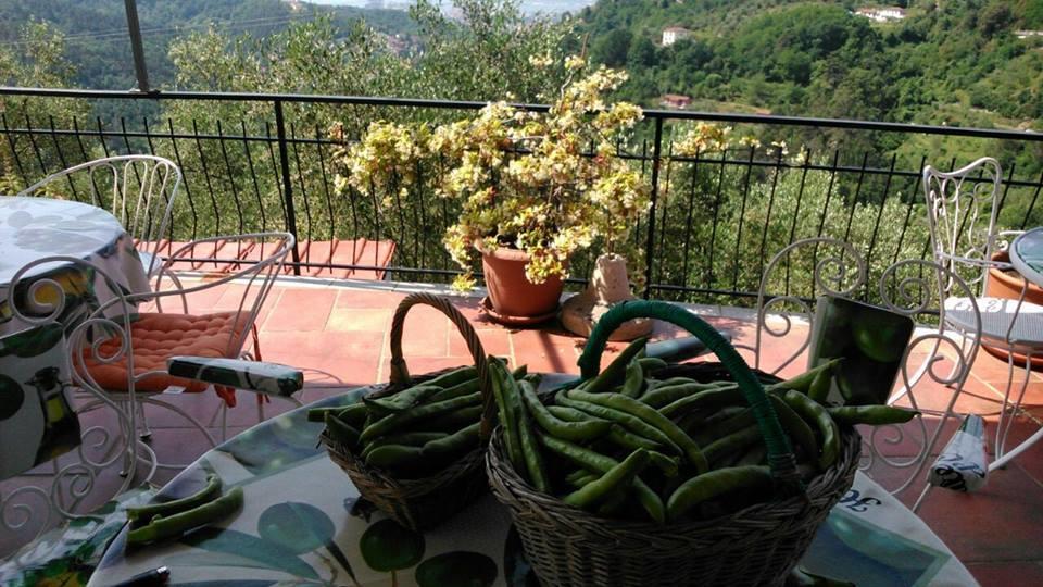 Agriturismo Oliva Azzurra Villa Valeriano Lunense Kültér fotó